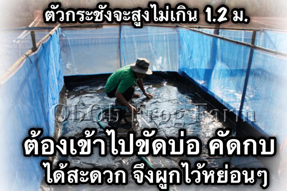 B03.jpg