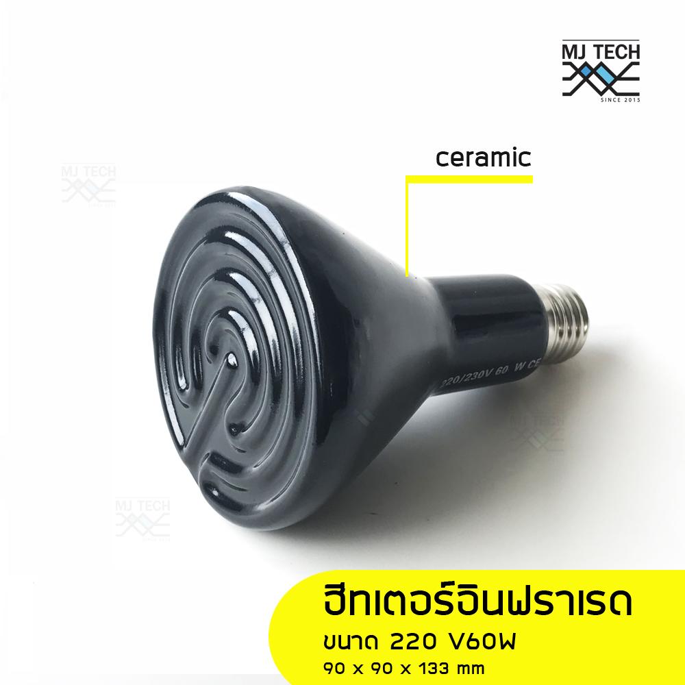 ceramic heater 60W2.jpg