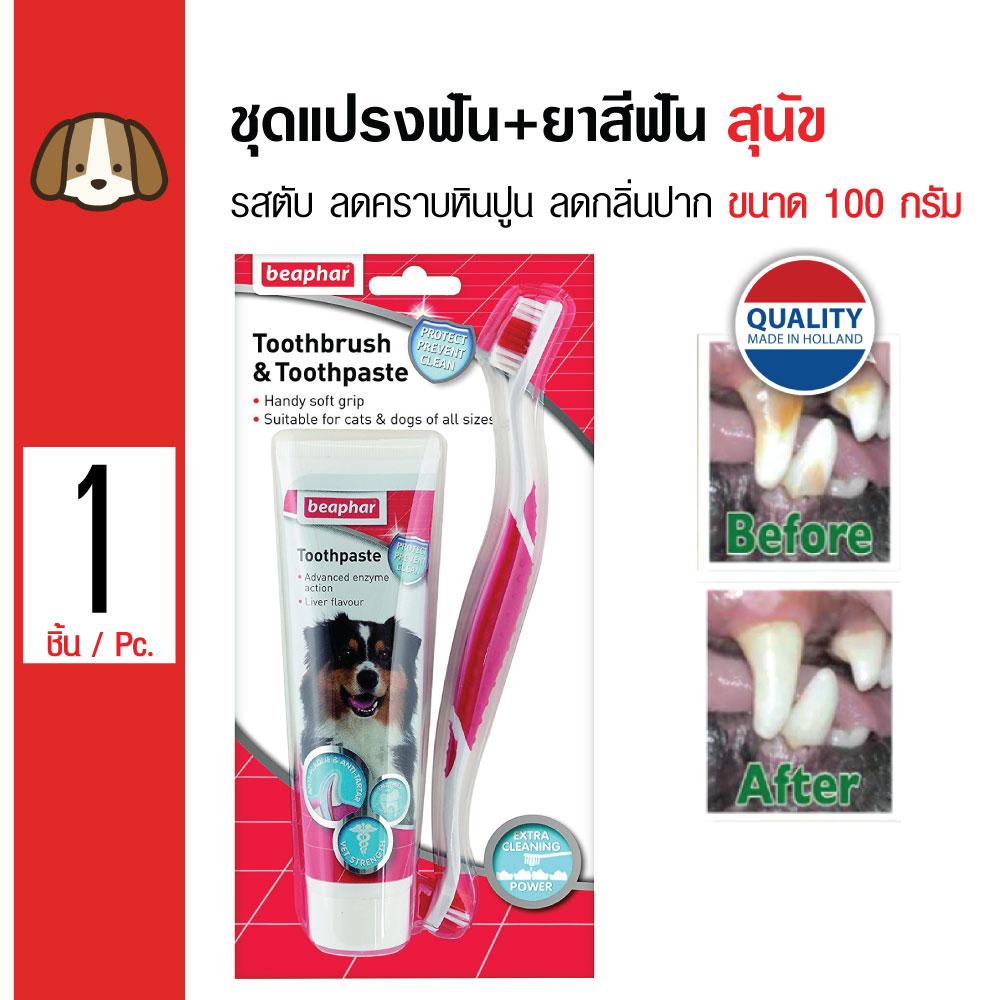 Beaphar Dental Set ชุดแปรงสีฟัน พร้อมยาสีฟัน รสตับ อร่อย ลดคราบหินปูน ลดกลิ่นปาก สำหรับสุนัขทุกสายพันธุ์ ขนาด 100 กรัม