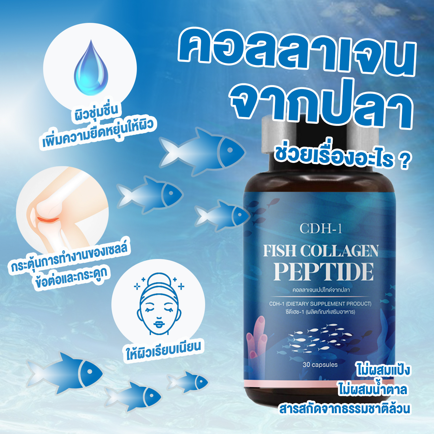 คอลลาเจน ปราศจากแป้งและน้ำตาล 30 แคปซูล + สารสกัดจากธรรมชาติ บำรุงให้ผิวชุ่มชื่น บำรุงรากผม บำรุงเล็บ บำรุงไขข้อกระดูก ข้อต่อเสื่อม