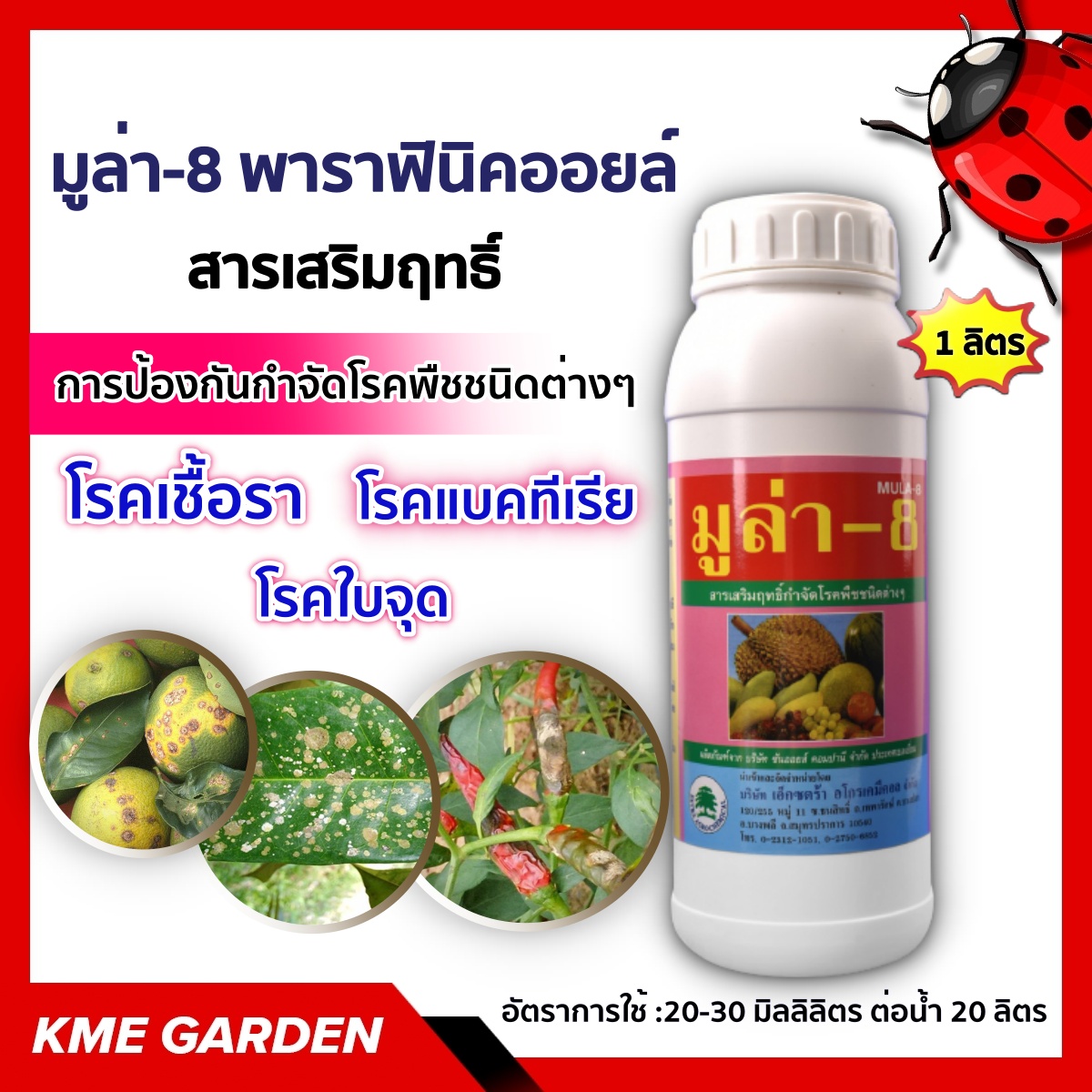 🦠โรคพืช🦠 สารเสริมฤทธิ์ มูล่า-8 1 ลิตร พาราฟินิคออยล์ เป็นสารเสริมฤทธิ์ในการป้องกันกำจัดโรคที่เกิดจากเชื้อรา และแบคทีเรีย โรคใบจุด