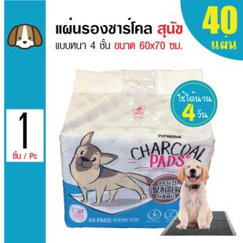 สนใจซื้อ Charcoal Pads แผ่นรองซับสัตว์เลี้ยง แผ่นรองฉี่สุนัขสำหรับสุนัขทุกสายพันธุ์ ขนาด 60x70 ซม. (40 แผ่น/ แพ็ค) ต้องการขาย Charcoal Pads แผ่นรองซับสัตว์เลี้ยง แผ่นรองฉี่สุนัขสำหรับสุนัขทุกสายพันธุ์ ขนาด 60x70 ซม. (40 แผ่น/ แพ็ค)