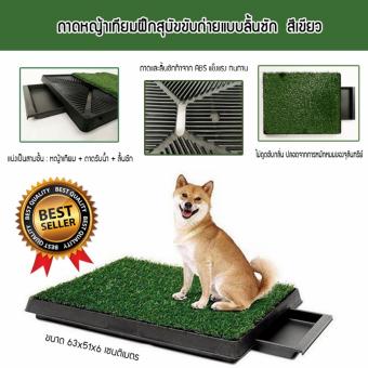 ลดราคา ถาดรองฉี่สุนัข ถาดรองซับ ห้องน้ำสุนัข ถาดหญ้าเทียมฝึกสุนัขขับถ่ายแบบลิ้นชัก รุ่น PP-2025D (สีเขียว) ต้องการขาย ถาดรองฉี่สุนัข ถาดรองซับ ห้องน้ำสุนัข ถาดหญ้าเทียมฝึกสุนัขขับถ่ายแบบลิ้นชัก รุ่น PP-2025D (สีเขียว)