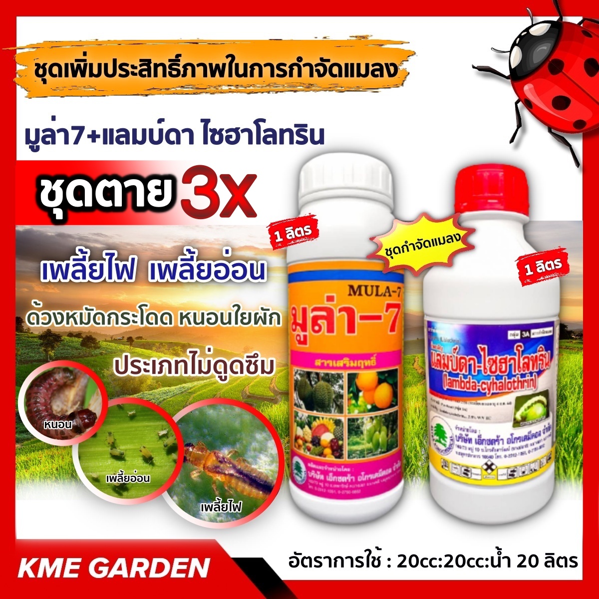🐞แมลง🐞 ชุดเพิ่มประสิทธิ์ภาพในการกำจัดแมลง มู่ล่า 7 + แลมบ์ดา ไซฮาโลทริน 1L ใช้กำจัด เพลี้ยอ่อน เพลี้ยไฟ หนอนใยผัก