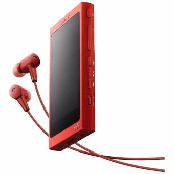 Sony Hi-res Walkman รุ่น NW-A36HN