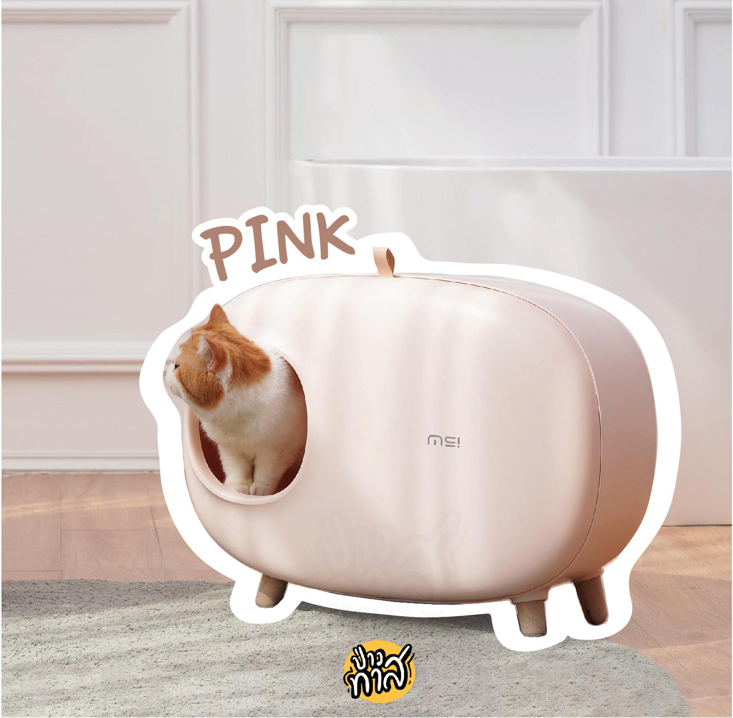 ห้องน้ำแมวเก็บกลิ่น สไตล์มินิมอล minimal style (makesure cat litter box)