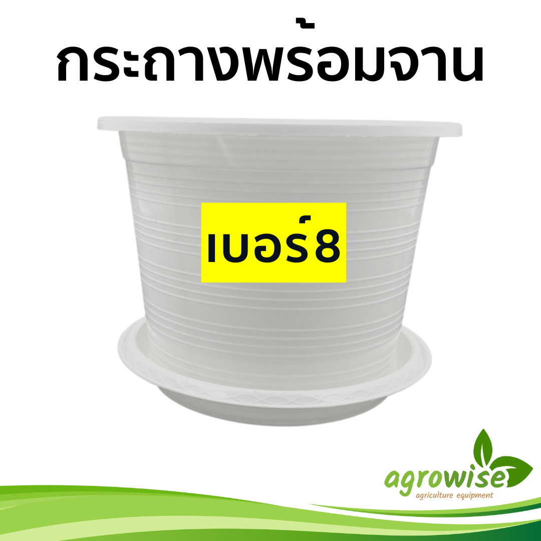 กระถางต้นไม้สวยๆ กระทางต้นไม้ กระถางต้นไม้ 8 นิ้ว สีขาว สีขาว เบอร์ 8 7.5 นิ้ว กระถางขาว