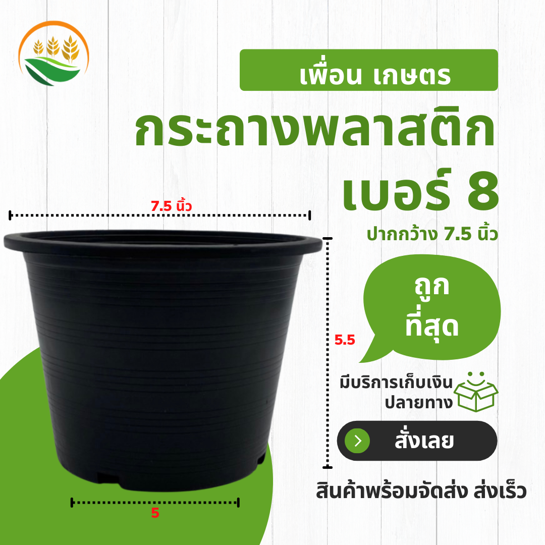กระถางต้นไม้พลาสติก กระทางต้นไม้ กระถางพลาสติก 7.5 นิ้ว สีดำ 3 ชิ้น กระถางดำ เบอร์ 8