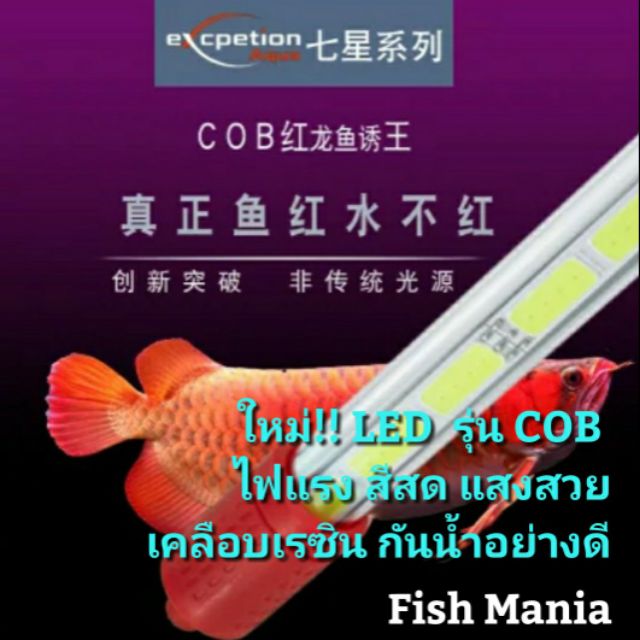 อุปกรณ์และอาหารสัตว์เลี้ยง Premium(พรีเมึ่ยม) มีจำนวนจำกัด LED model, strong light, beautiful light, fresh color coating, waterproof, Alowa, beautiful fish, beautiful fish aquarium air pump fish tankKM11.3650 ห้ามพลาด ราคา 3,469 บาท*ส่งฟรี