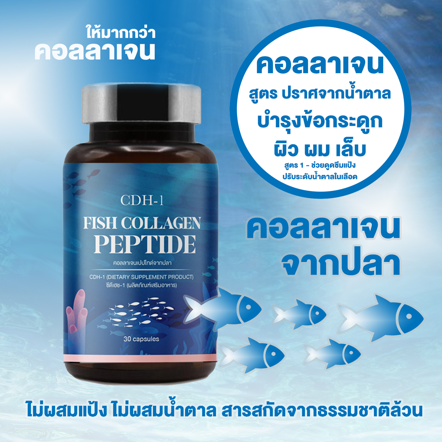 คอลลาเจน ปราศจากแป้งและน้ำตาล 30 แคปซูล เสริมสารสกัดจากธรรมชาติ บำรุงไขข้อ บำรุงข้อต่อ ผิวแห้ง ผมร่วง บำรุงเล็บ เล็บหักง่าย