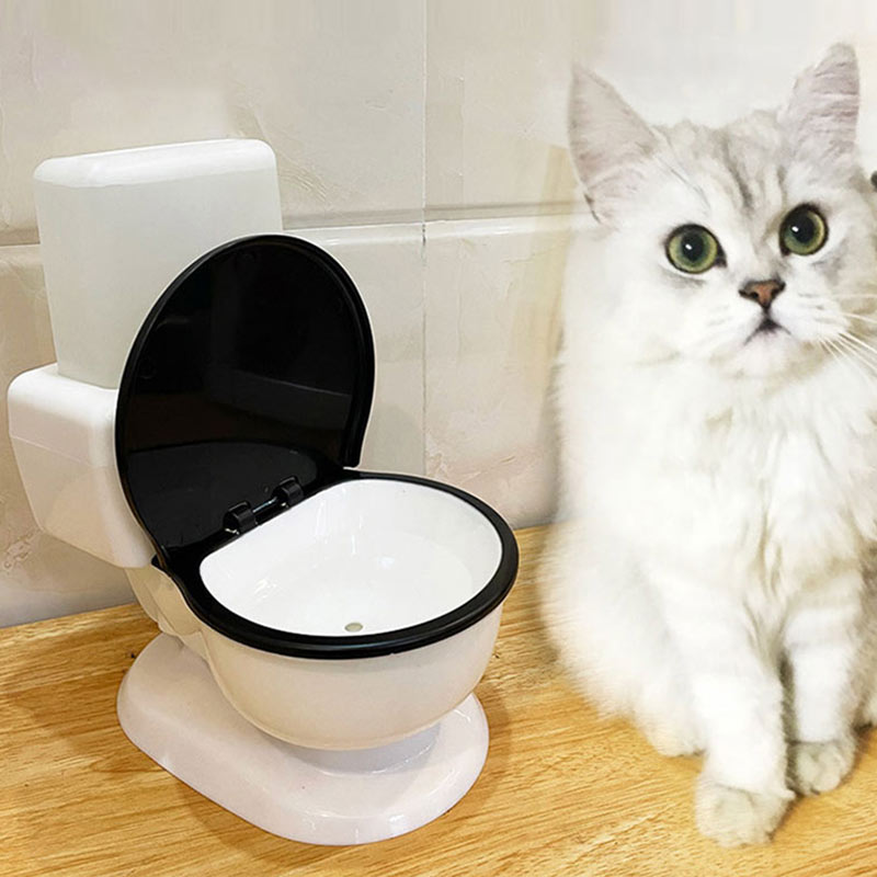 cat toilet water bowl