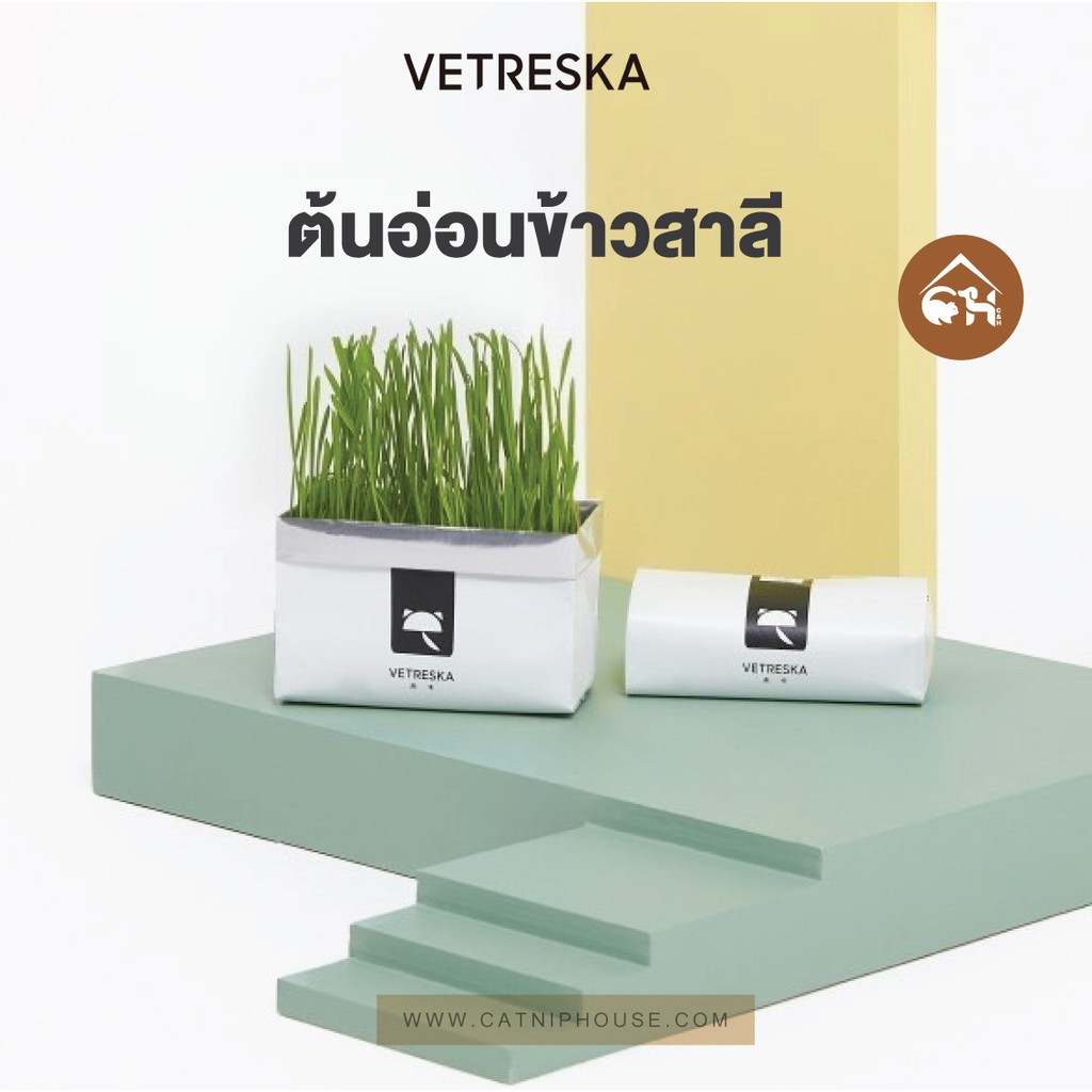 Vetreska ชุดหญ้าแมวพร้อมปลูก ช่วยให้น้องแมวสุขภาพดี