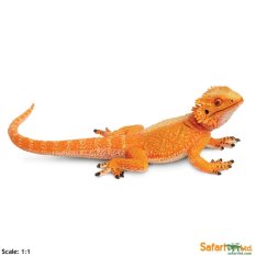Safari Ltd. โมเดลสัตว์ Bearded Dragon Safari Ltd. โมเดลสัตว์ Bearded Dragon