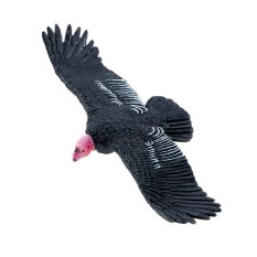 Safari Ltd. California Condor โมเดลสัตว์ Safari Ltd. California Condor โมเดลสัตว์