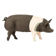 Safari Ltd. โมเดลสัตว์ Hampshire Pig Safari Ltd. โมเดลสัตว์ Hampshire Pig