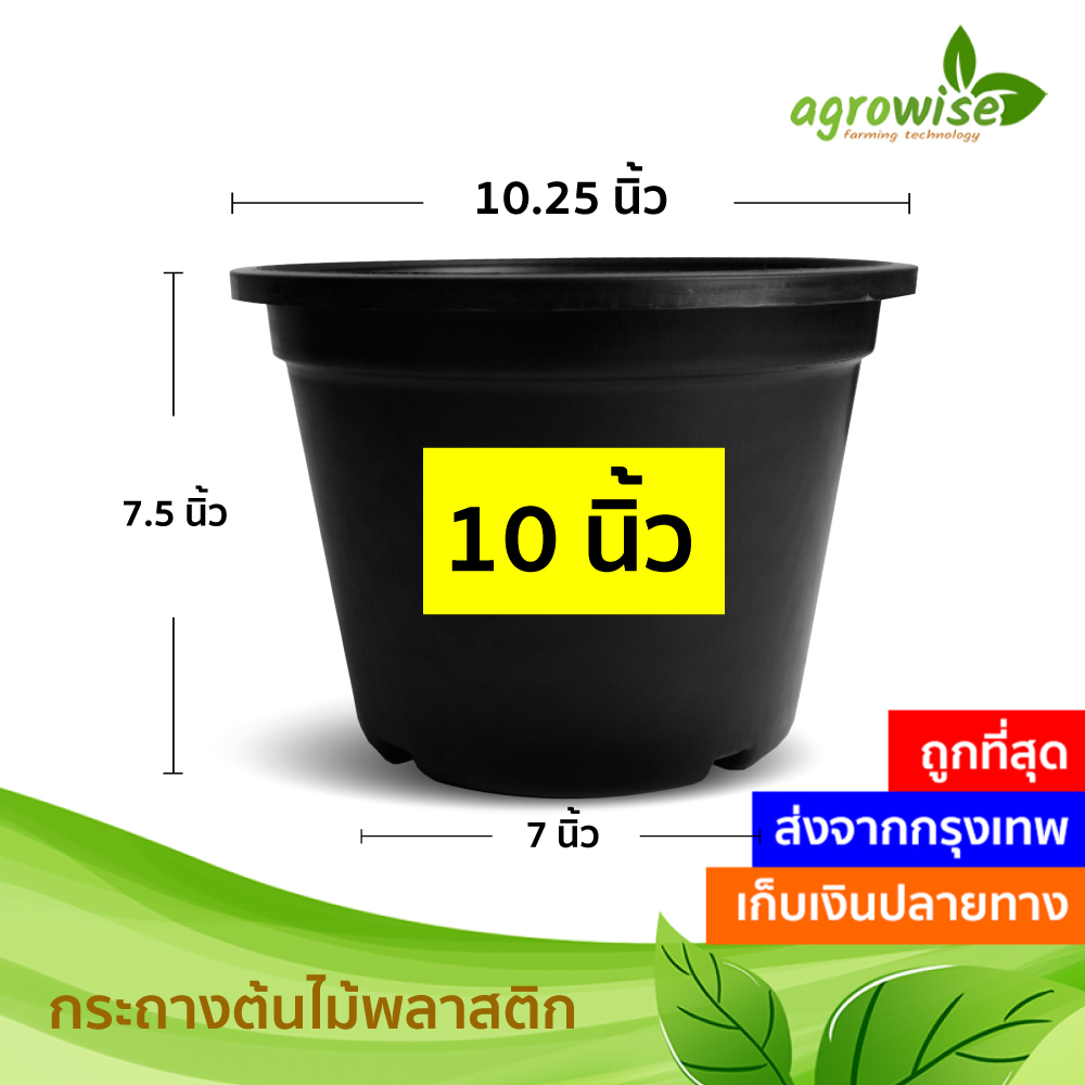 กระถางต้นไม้ 10 นิ้ว กระถางต้นไม้พลาสติก กระถางปลูกต้นไม้ กระถางกลม กระถางกระบองเพชร กระถางแคคตัส สีดำ สีขาว สีครีม 10 นิ้ว