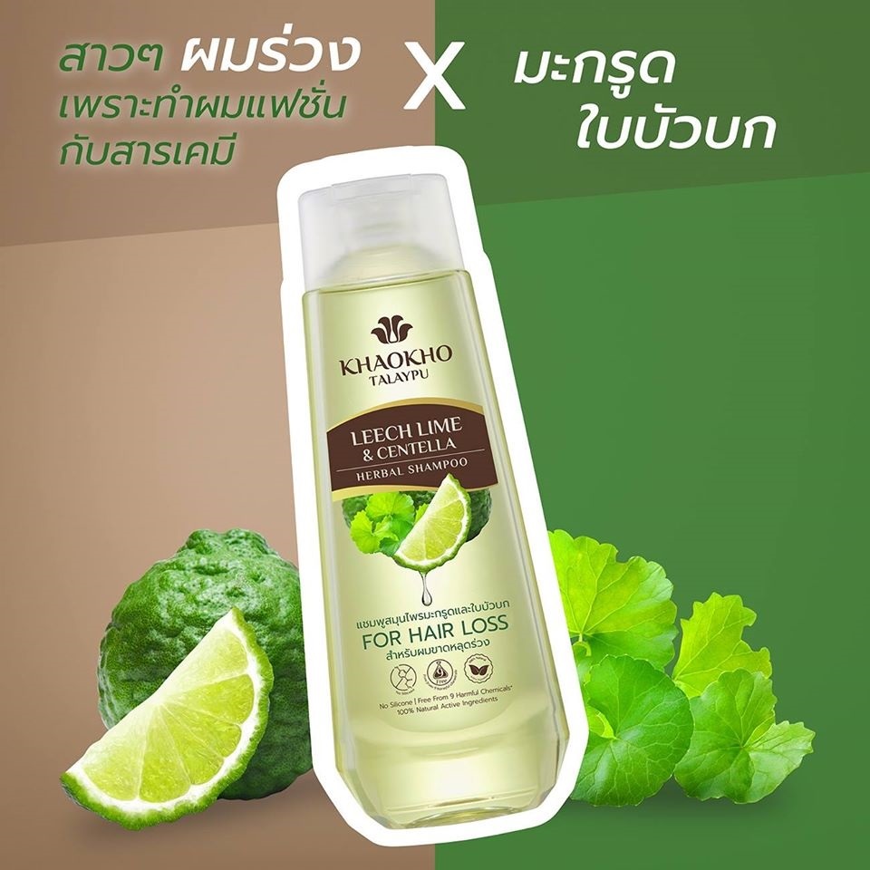 แชมพูสูตรสมุนไพรมะกรูดและใบบัวบก Leech Lime & Centella Herbal Shampoo