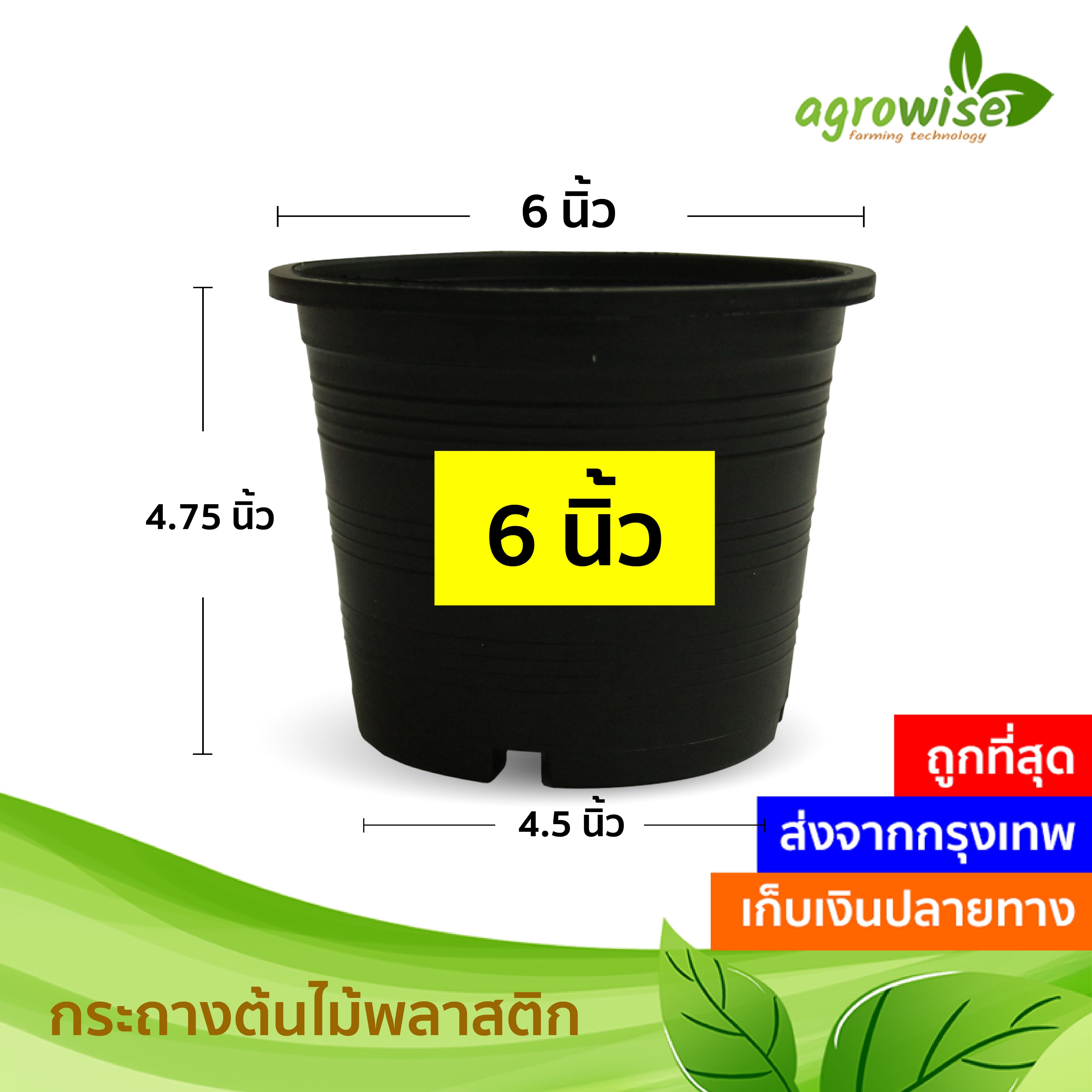 กระถางปลูกต้นไม้ กระถางต้นไม้ กระถาง สีดำ กระถางดำ 6 นิ้ว