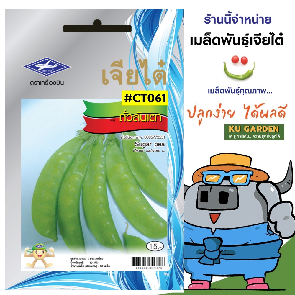 CHIATAI 🇹🇭 ผักซอง เจียไต๋ O061#ถั่วลันเตา ประมาณ 60 เมล็ด เมล็ดพันธุ์ เมล็ดพันธุ์ผัก ถั่ว ผักสวนครัว ผักเจียไต๋ ตราเครื่องบิน