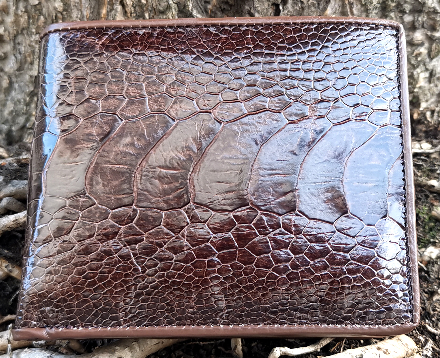 เชิญเยี่ยมชม เลือกซื้อ ได้ที่ร้านอันดับ1 Bestcare Dark Brown Classic Ostrich leg กระเป๋าสตางค์หนังขานกกนะจอกเทศ  ราคา 1,800 บาท*ส่งฟรี