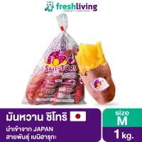 🚚 เก็บคูปองส่งฟรี 🚚 มันหวาน ญี่ปุ่น Size M ราคาพิเศษ เบนิฮารุกะ นำเข้า จากประเทศญี่ปุ่น Freshliving ชิโทริ Shitori เยลลี่ ผลไม้ ขนม ขนมกินเล่น