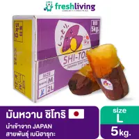 🚚 เก็บคูปองส่งฟรี 🚚 มันหวาน ญี่ปุ่น Size L ลังละ 5 กก. ราคาพิเศษ เบนิฮารุกะ นำเข้า จากประเทศญี่ปุ่น Freshliving ชิโทริ Shitori เยลลี่ ผลไม้ ขนม