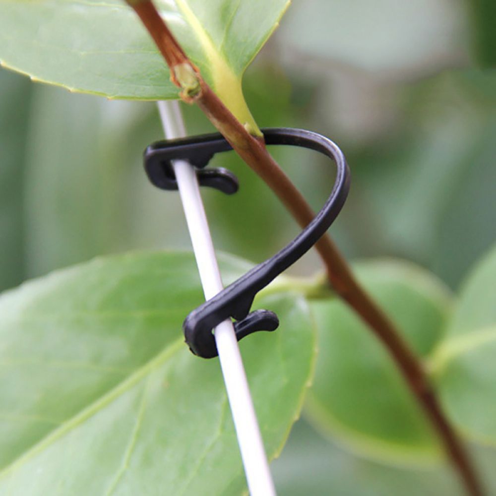 Joktt 100 cái móc buộc bằng nhựa chốt cành cây kẹp bó dây leo kẹp ghép cây kẹp cố định thân cây rau kẹp dây nho vòng cố định dây leo khóa cố định dây leo