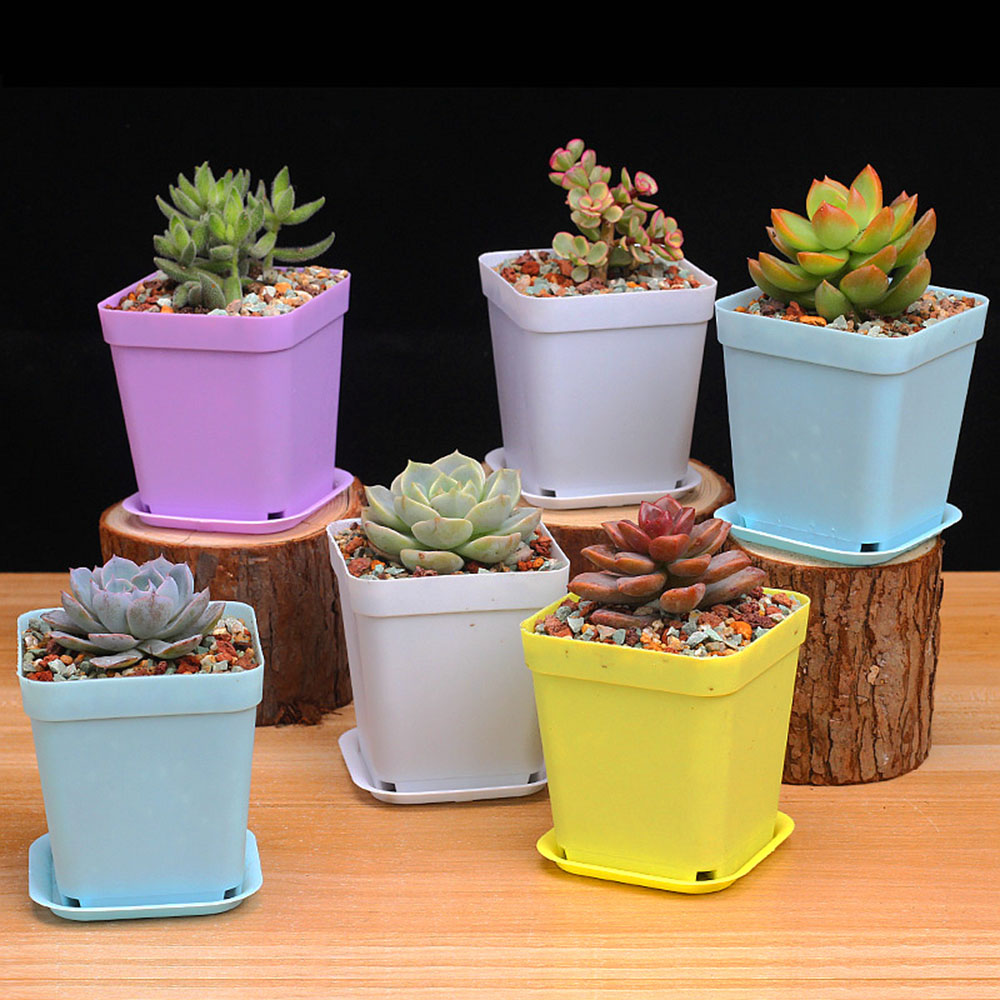 MILDNESS ดิจิตอลสินค้า5Pcs อุปกรณ์ตกแต่งสวน Office Succulent Boxplanter อ่างน้ำขนาดเล็ก Decor ถาดดอกไม้หม้อเนอสเซอรี่แจกัน