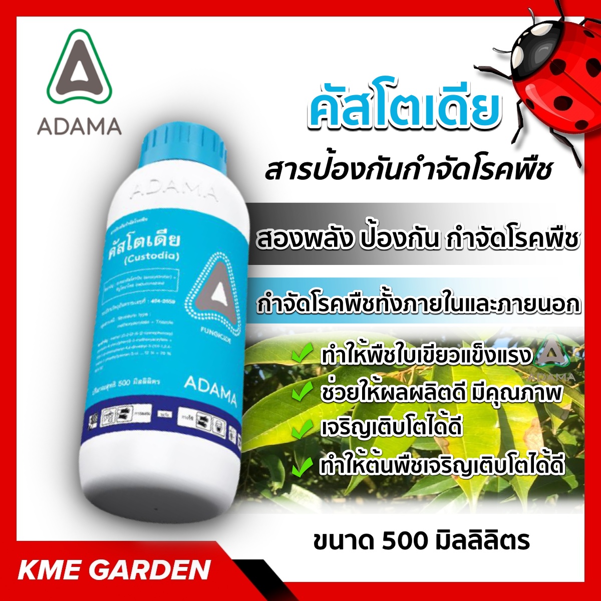 🦠โรคพืช🦠 คัสโตเดีย ADAMA ขนาด 500cc. อะซอกซีสโตรบิน กำจัดโรคพืชทั้งภายในและภายนอก โดยพลังของคัสโตเดียจะเข้ากำจัดสปอร์ของเชื้อรา