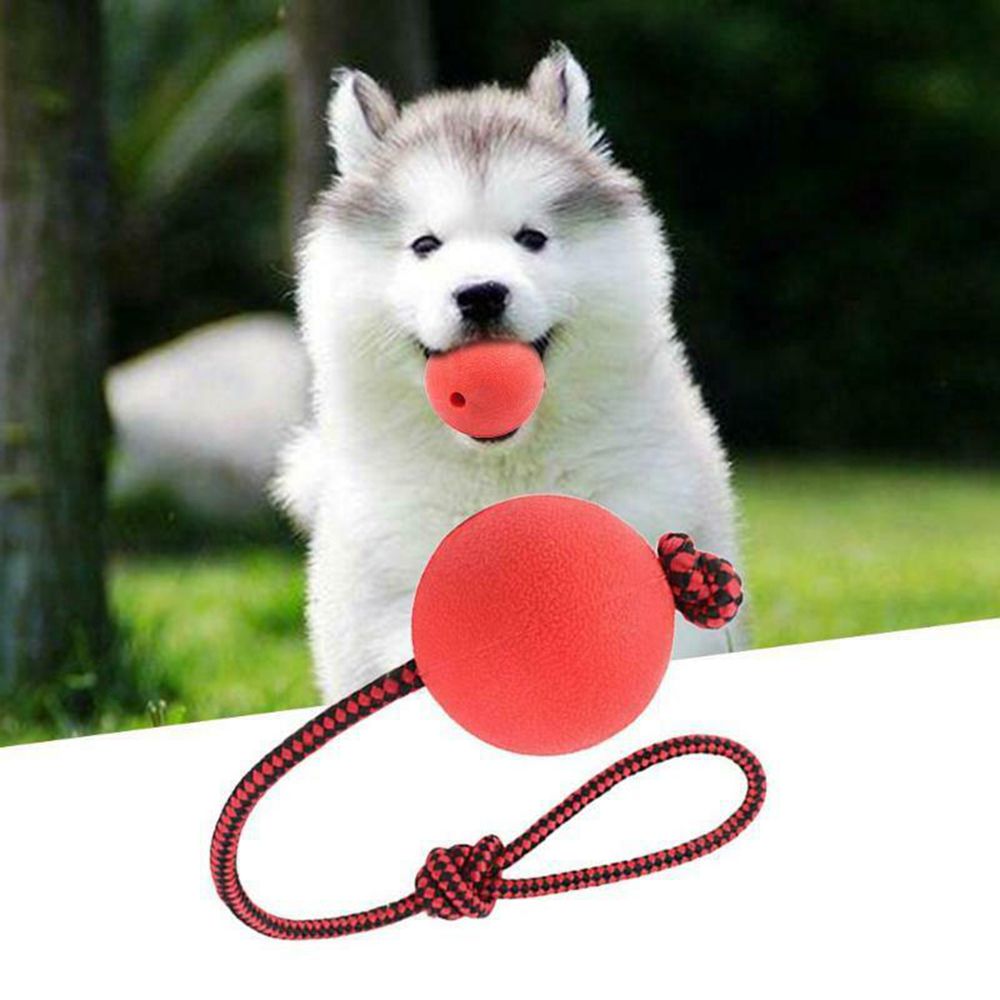 UF4QSBKU New Tooth Training Puppy Playing Rope Handle Dog Chew Toy Solid Rubber Ball Pet Puppy Chew Toys Pet Puppy Toys