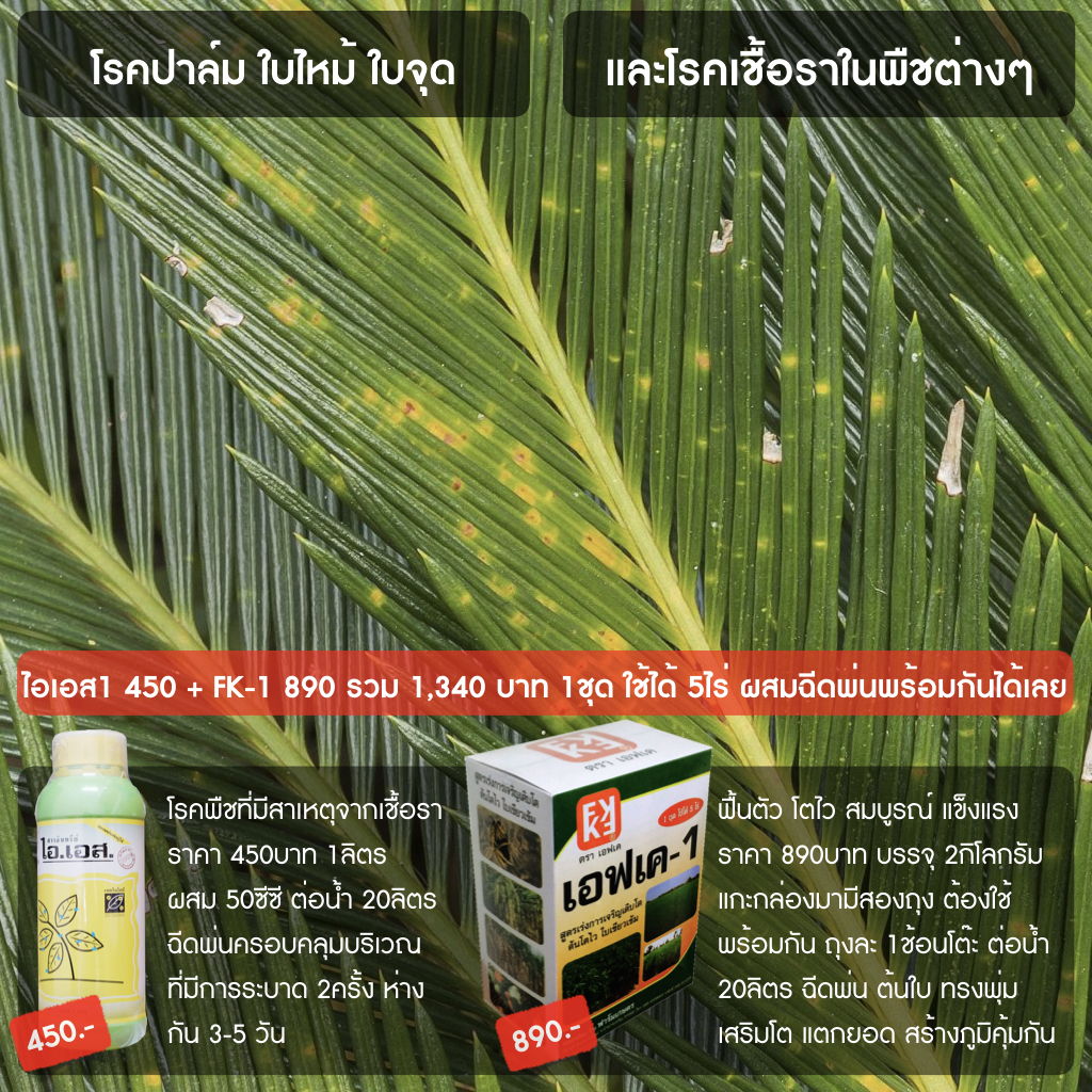FK-1 Liquid Fertilizer for Growth Acceleration - (Green) ราคา 1,339 บาท*ส่งฟรี