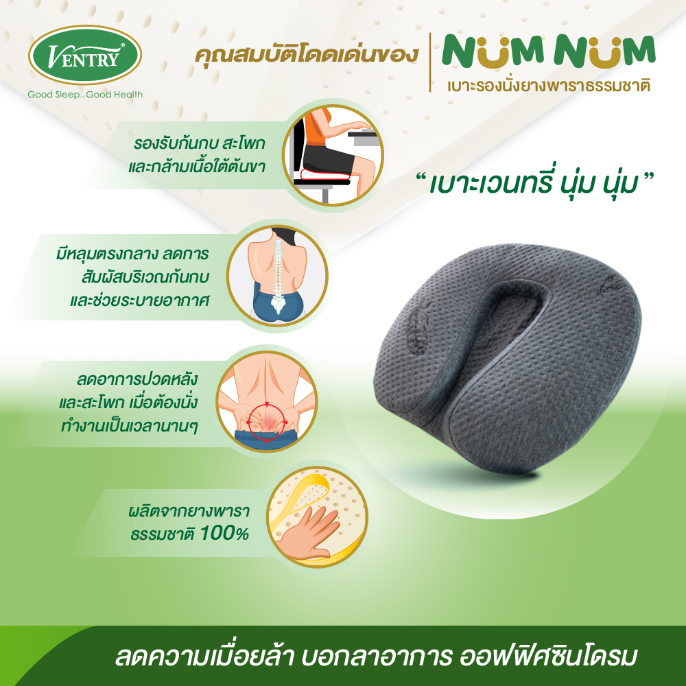 เบาะรองนั่ง NumNum ยางพาราแท้ ราคา 1,430 บาท*ส่งฟรี
