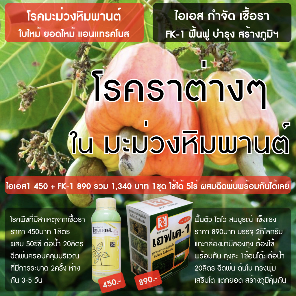 IS prevents and eliminates fungal diseases + FK-1 Liquid Fertilizer for Growth Acceleration - (Green) ราคา 1,340 บาท*ส่งฟรี