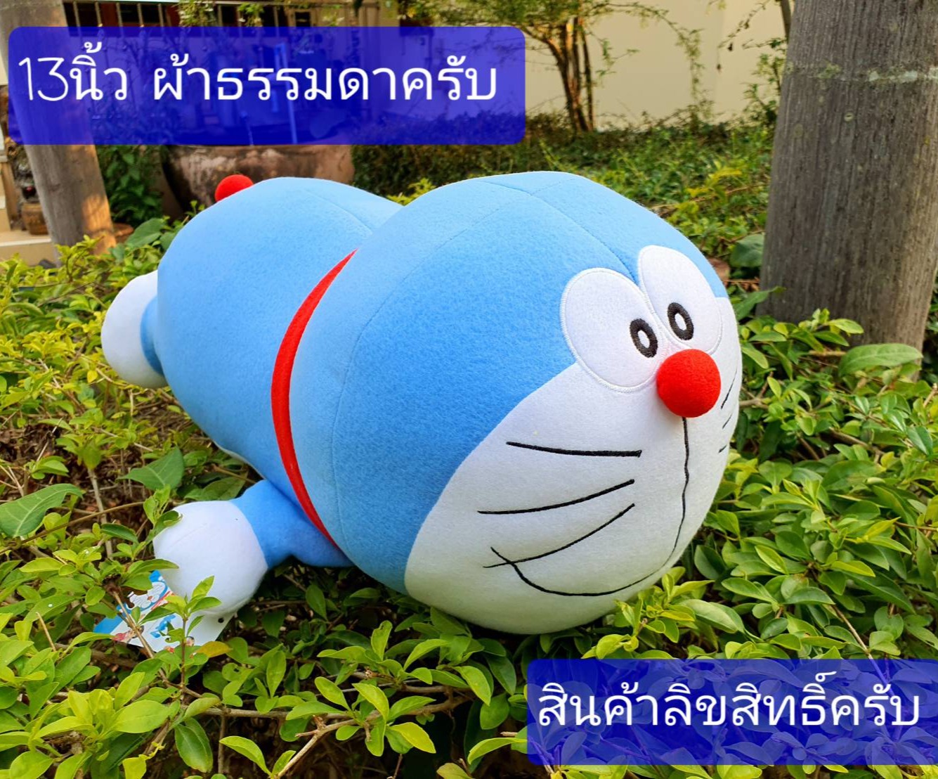 13นิ้วนอนหมอบ(159บ.)   กับ 16นิ้ว ยืน (149บ.)  Doraemon   โดราเอม่อน   ตุ๊กตาโดราเอม่อน   โดราเอม่อนแท้    โดราเอม่อน   โดเรม่อน   Doraemon   ตุ๊กตาโดราเอมอน