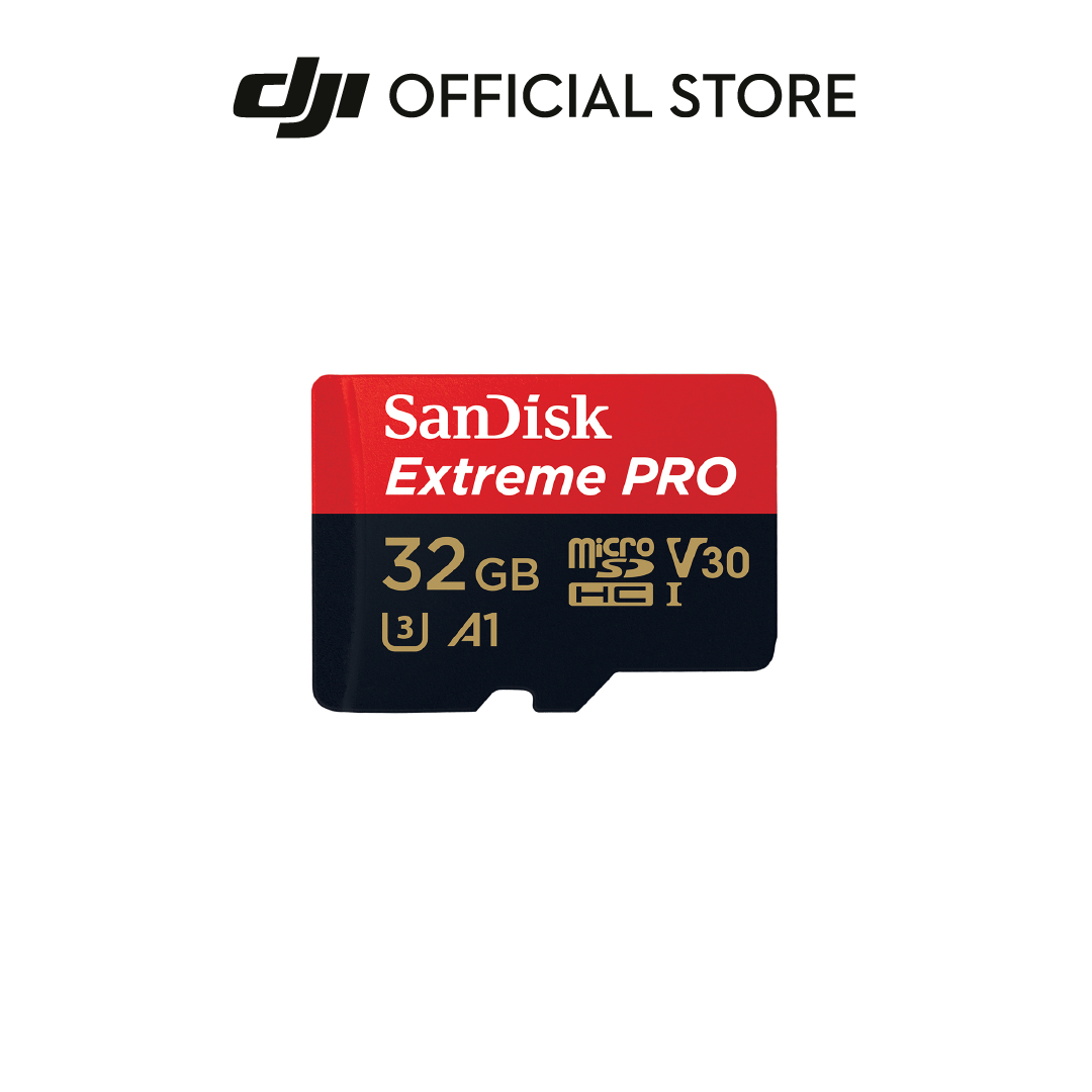 Sandisk SD Card 256GB