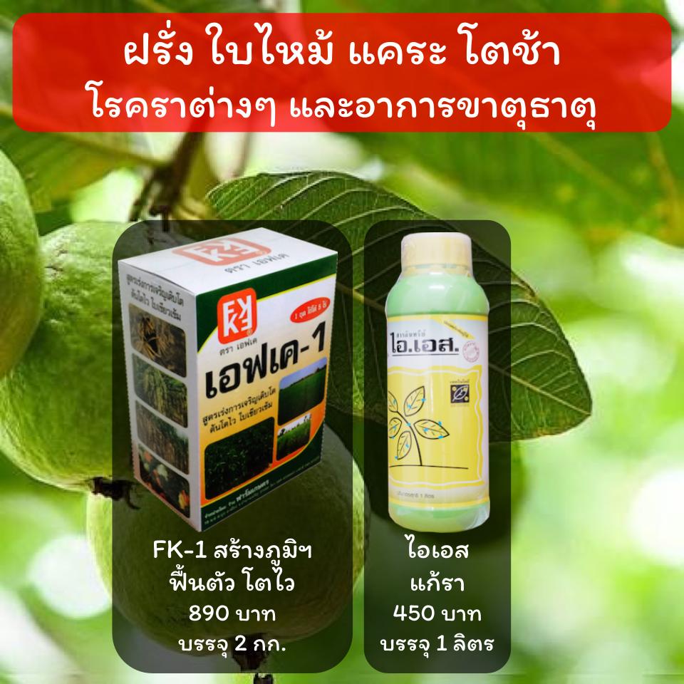 รักษาโรค ฝรั่งใบไหม้ แก้โรคราในฝรั่ง แก้พืชขาดธาตุ โปรดอ่านรายละเอียดสินค้าเพื่อความเข้าใจที่ถูกต้อง ราคา 499 บาท*ส่งฟรี
