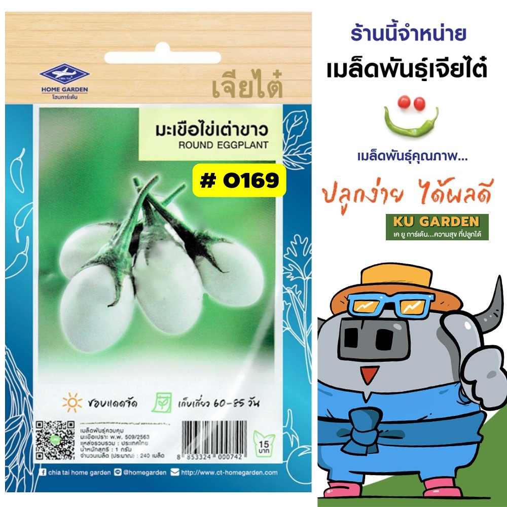 CHIATAI 🇹🇭 ผักซอง เจียไต๋ มะเขือไข่เต่าขาว O169 ประมาณ 240 เมล็ด มะเขือเปราะ เมล็ดพันธุ์ผัก มะเขือ เมล็ดผัก เมล็ดพืช ผักสวนครัว