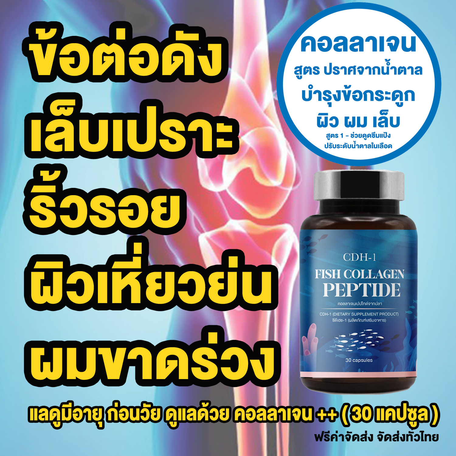 บำรุงข้อกระดูก ข้อต่อ ไขข้อ ผิวแห้ง ริ้วรอยก่อนวัย เล็บเปราะ ผมร่วง ผมขาด บำรุงด้วย คอลลาเจน เสริมสารสกัดธรรมชาติ ไม่มีน้ำตาล 30 แคปซูล