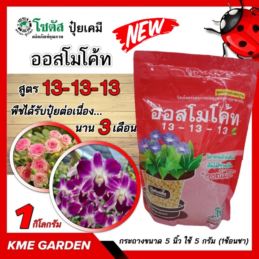 🪴ปุ๋ยเกร็ด🪴 ออสโมโค้ท13-13-13ขนาด 1 กิโลกรัมโซตัส ใส่เพียงครั้งเดียว พืชได้รับปุ๋ยต่อเนื่องนาน3เดือน กล้วยไม้ ไม้ดอกไม้ประดับ บอนสี