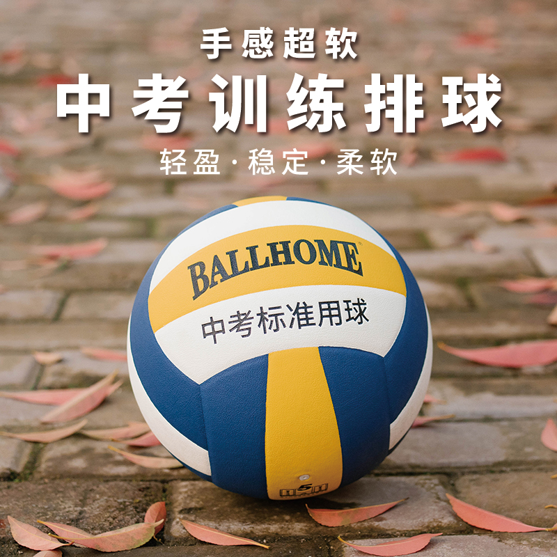 3GAQ Fast delivery of lv1000 ball for indoor and outdoor competition training of Changsha Leju volleyball high school entrance examination students LF3E
