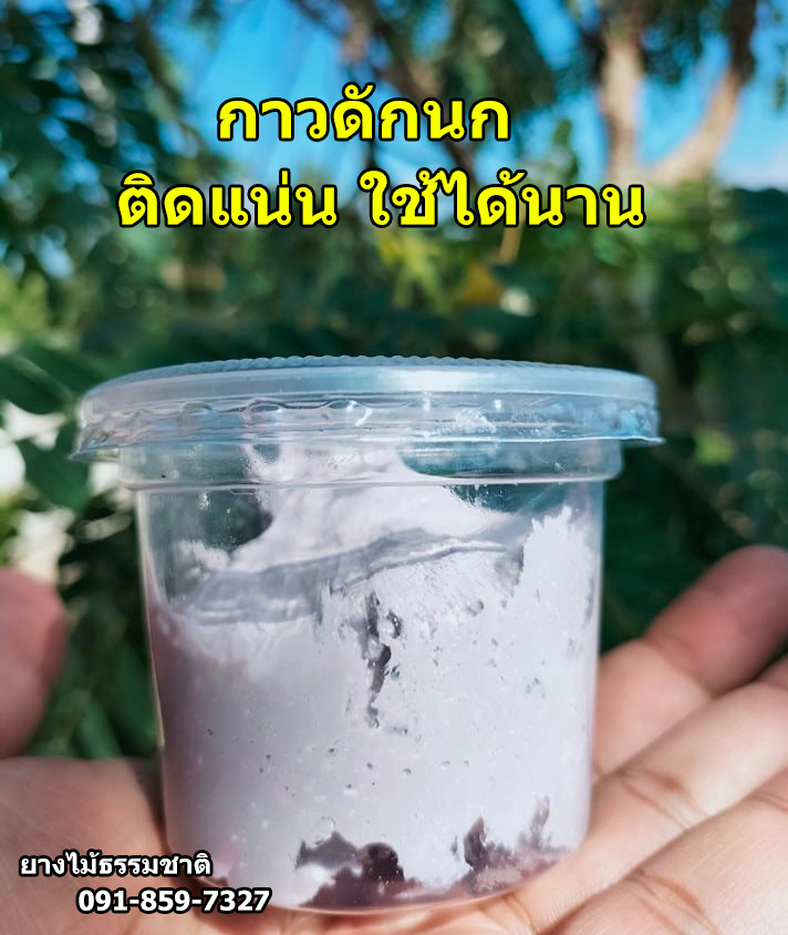 กาวดักนก กาวต่อนก  100กรัม  ใช้ดักสัตว์ปีก กระรอก หนู ใช้ดักแมลง ดักด้วง กาวดักนกสำรวจรูป