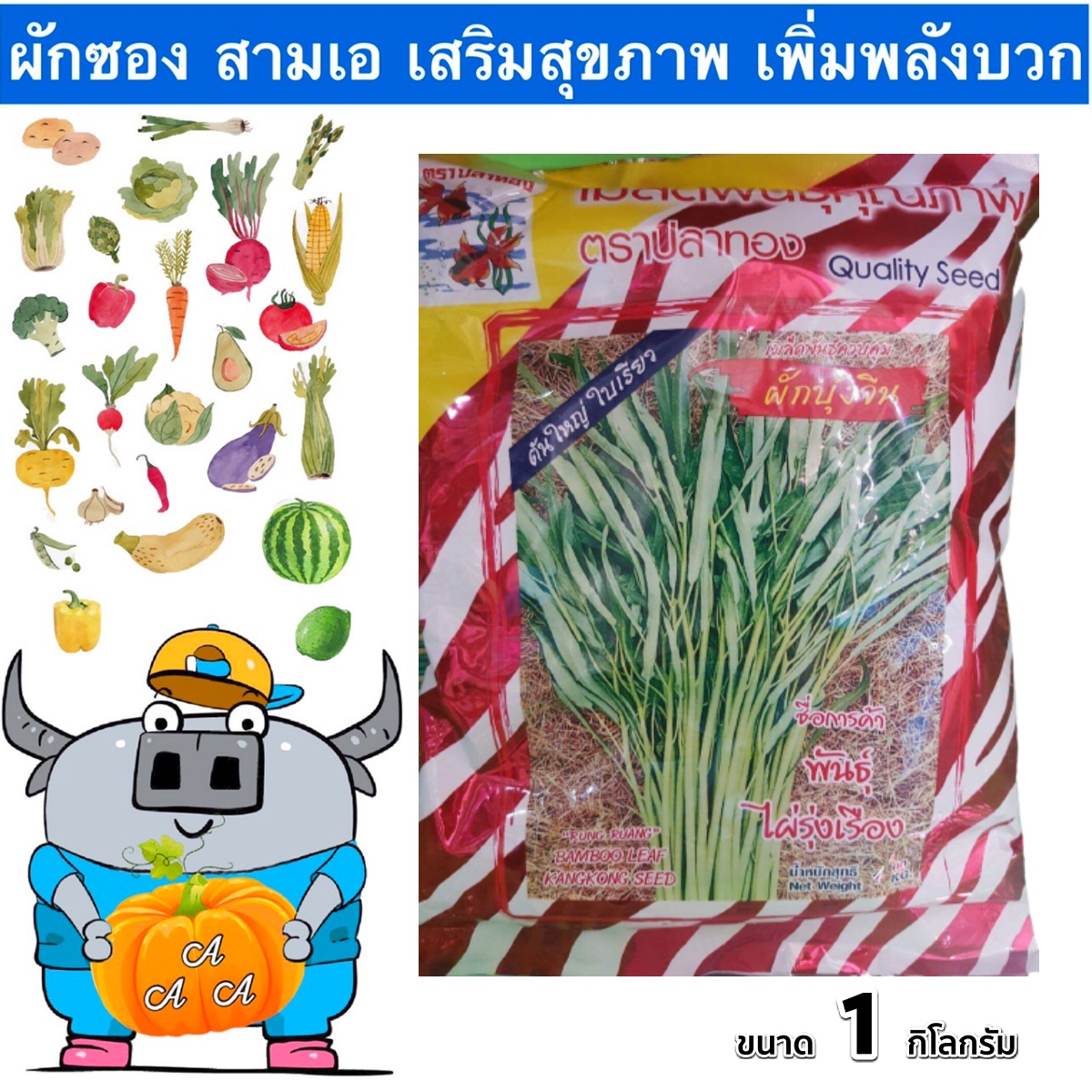 AAA 🇹🇭 ผักซอง สามเอ เมล็ด ผักบุ้งจีน พันธุ์ ไผ่รุ่งเรือง 1 กิโลกรัม ตรา สามเอ เมล็ดพันธุ์ ผักบุ้ง 3A เมล็ดผัก เมล็ดพันธุ์ผัก ผักสวนครัว