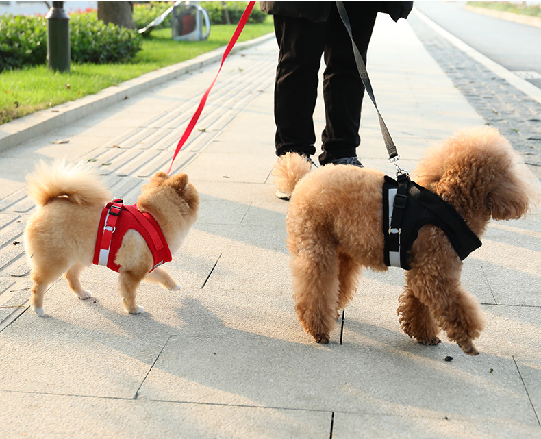 สายรัดสุนัขสำหรับสัตว์เลี้ยงพร้อมสายจูง, สายรัดเสื้อกั๊กปรับได้รูปแบบลูกสุนัขระบายอากาศสำหรับแมวสุนัขขนาดกลางขนาดเล็ก