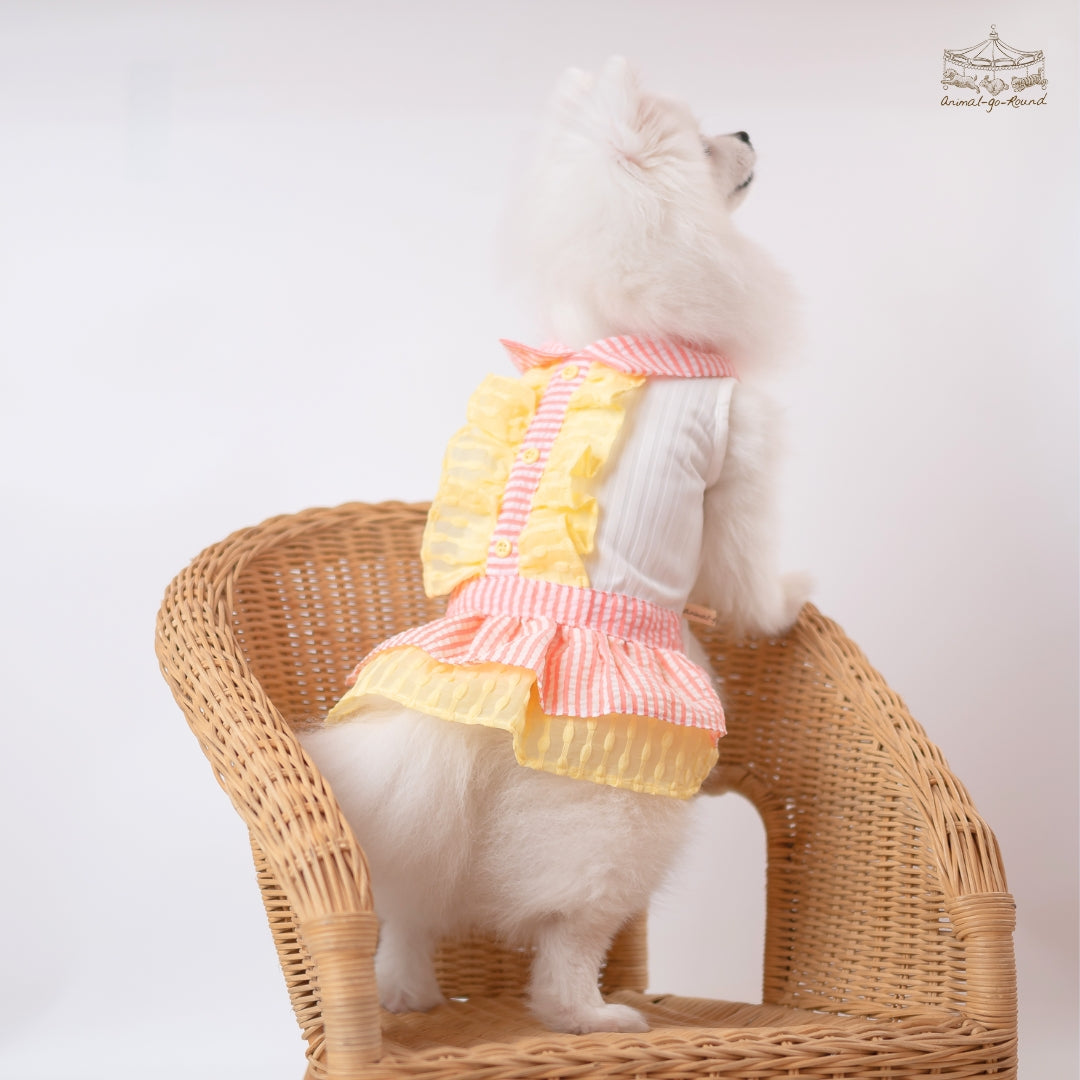 Animal-Go-Round เสื้อผ้าเครื่องแต่งกาย สัตว์เลี้ยง, หมา, แมว, สุนัข รุ่น Kindergarten Girl ราคา 590 บาท*ส่งฟรี