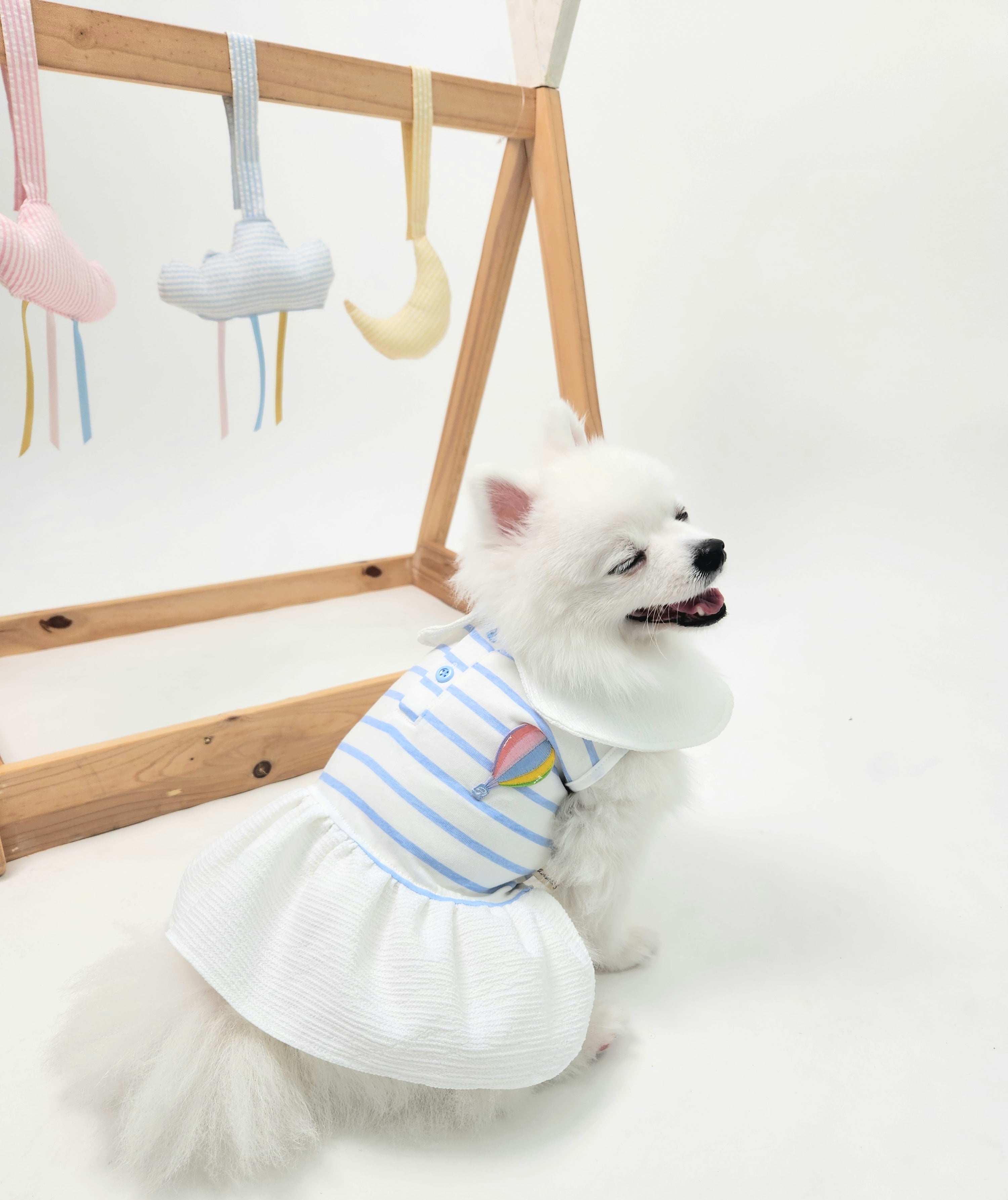 Animal-Go-Round เสื้อผ้าเครื่องแต่งกาย สัตว์เลี้ยง, หมา, แมว, สุนัข รุ่น Bubble Balloon ราคา 650 บาท*ส่งฟรี