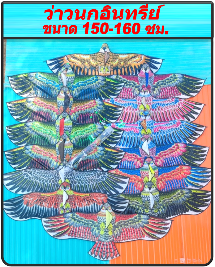 ว่าว ว่าวนกอินทรีย์ ว่าวไล่นก ทุกขนาด ราคาส่ง ยกชุดราคาส่ง ราคาพิเศษ10ตัว โปรวันนี้แถมเชือกทุกตัวค่ะ
