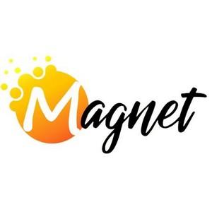 Magnet