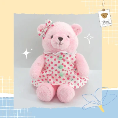 Teddy House: ตุ๊กตาหมีพร้อมชุดราคาพิเศษ (1)
