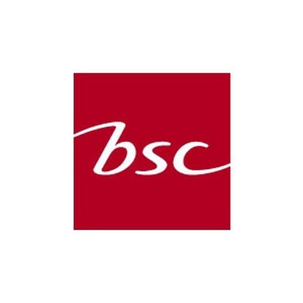 bsc(บีเอสซี)