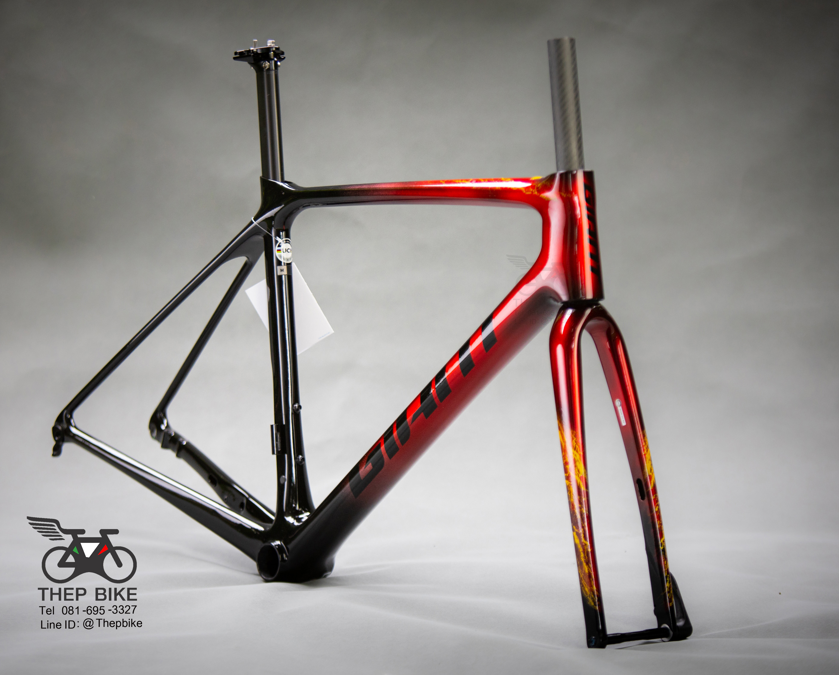 Frame set GIANT รุ่น TCR ADVANCED Pro Disc LIMITED EDITION (2021)